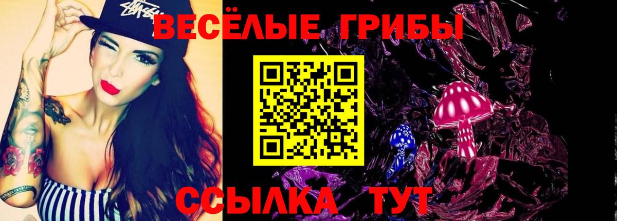 Дедовск  Псилоцибиновые грибы GOLDEN TEACHER  Вход с VPN 